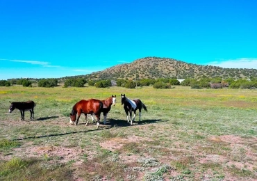 Guadalupe County TX Land Broker | Sell Ranches & Farms Fast