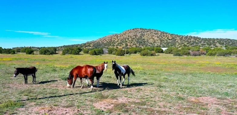 Guadalupe County TX Land Broker | Sell Ranches & Farms Fast