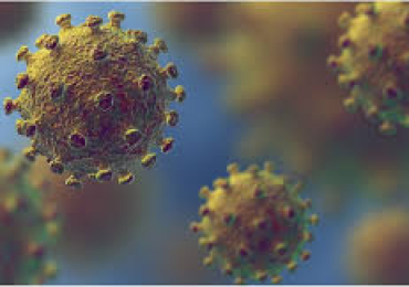 Itraconazole Sporanox – Effective Antifungal Medicines