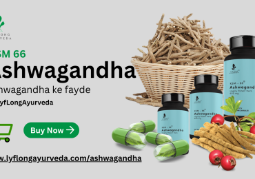 A BRIEF OVERVIEW BUY KSM-66 ASHWAGANDHA