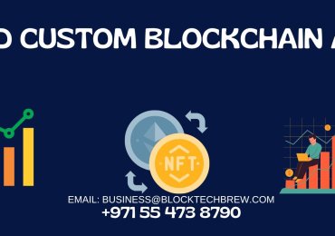 Hire Dedicated Blockchain Developer As Per Your Need