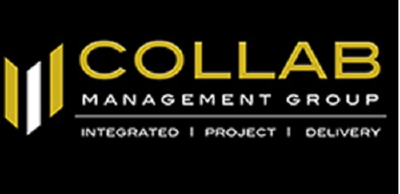 Experienced Construction Consultant Available | collabmanagement