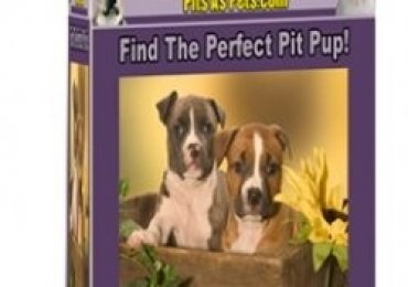 Big Book of Pit Breeders