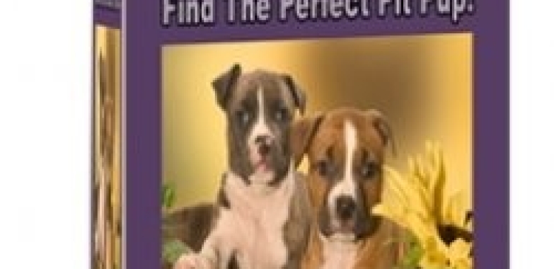 Big Book of Pit Breeders