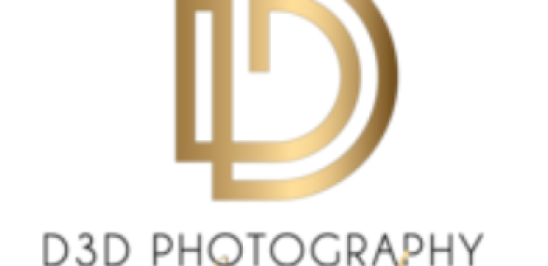D3D Portraits