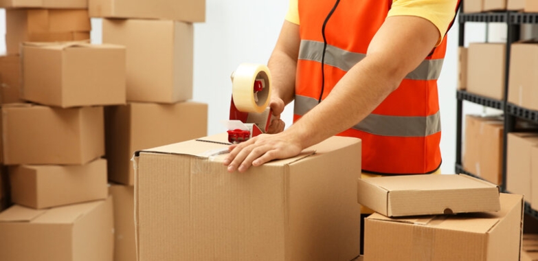 FedEx Express Gurgaon