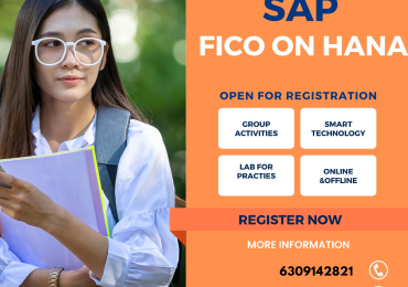 Avina Technologies – Sap Fico Online Training in Hyderabad @ 9000055217
