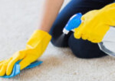 Professional Carpet Cleaning Services Indian Wells