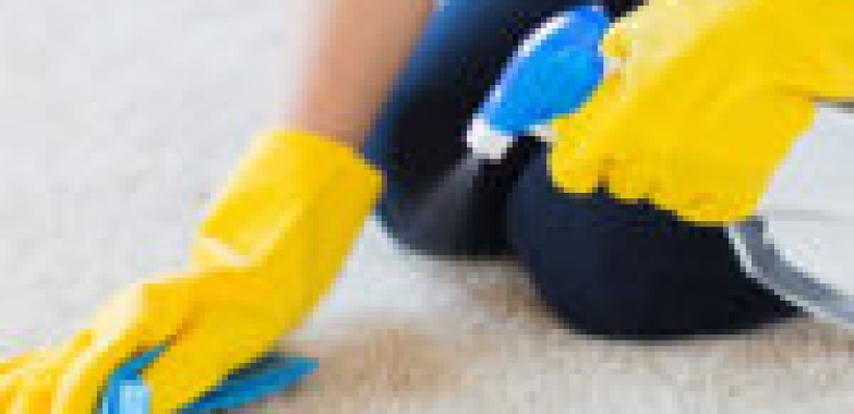 Professional Carpet Cleaning Services Indian Wells