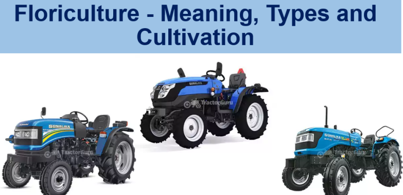 Floriculture – Meaning, Types and Cultivation