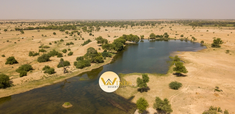 Winds Desert Camp