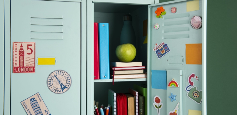 Premium Storage Solutions – Shop Lockers Online with Free UK Delivery at Shelving Store!