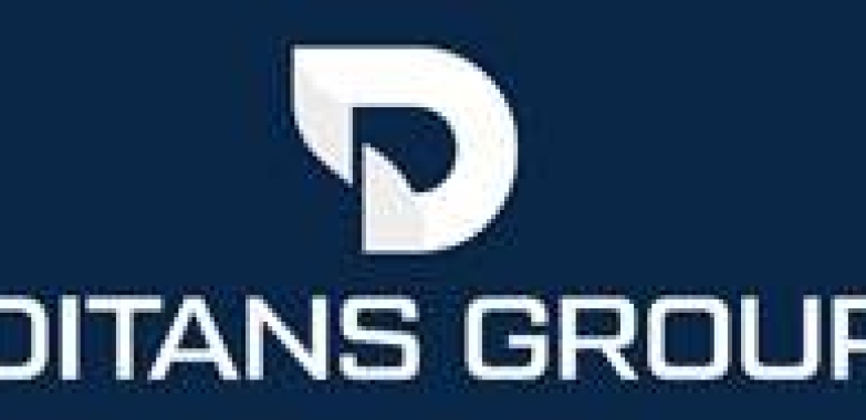 Ditans Group: Expert Small Business Consulting
