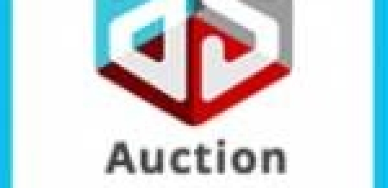 Auction Software