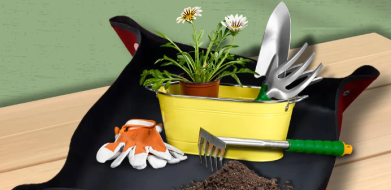 Best Manure For Plants Online at Bombay Greens