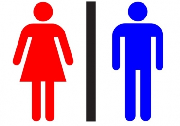 Threat components for coronary heart illness and stroke are largely related in women and men globally, finds research