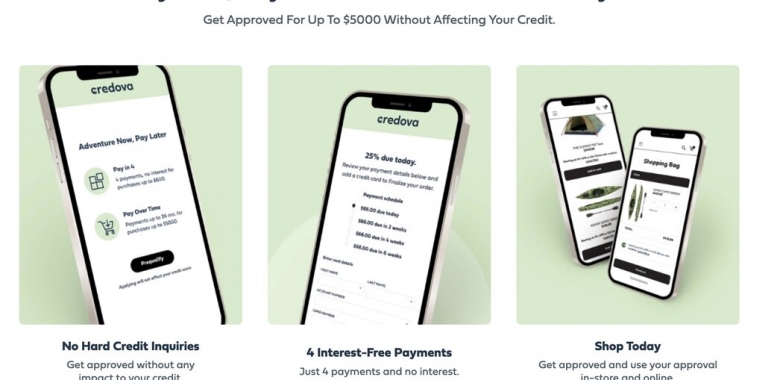 Lawmakers Seek Information on ‘Buy Now, Pay Later’ Gun Sales
