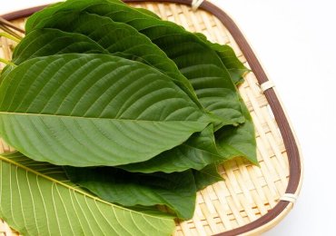 Understanding: Does Kratom Help With Pain Relief?