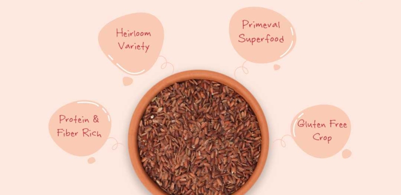 Nature’s Trunk Navara Red Rice: The Delicious and Healthy Choice for Every Meal