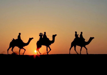 Luxury Desert Camping in Jaisalmer: Everything to Know