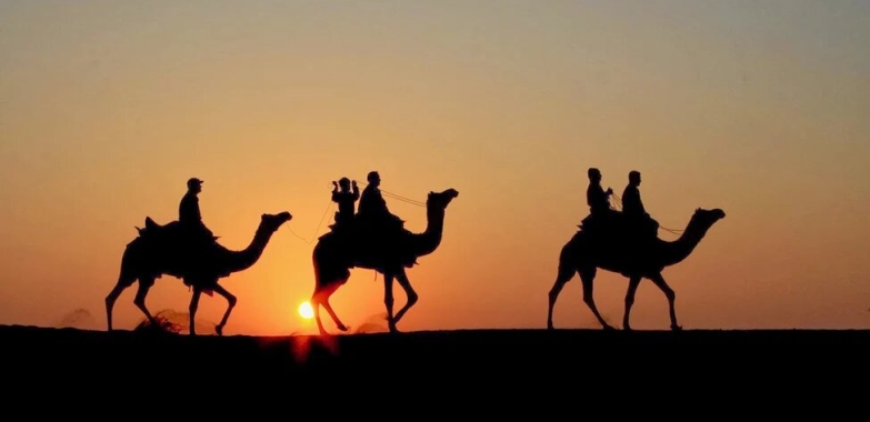 Luxury Desert Camping in Jaisalmer: Everything to Know