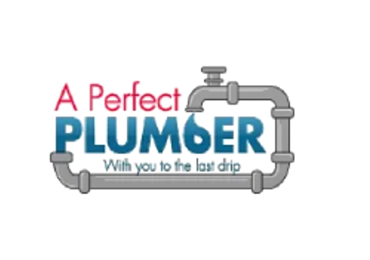 A Perfect Plumber