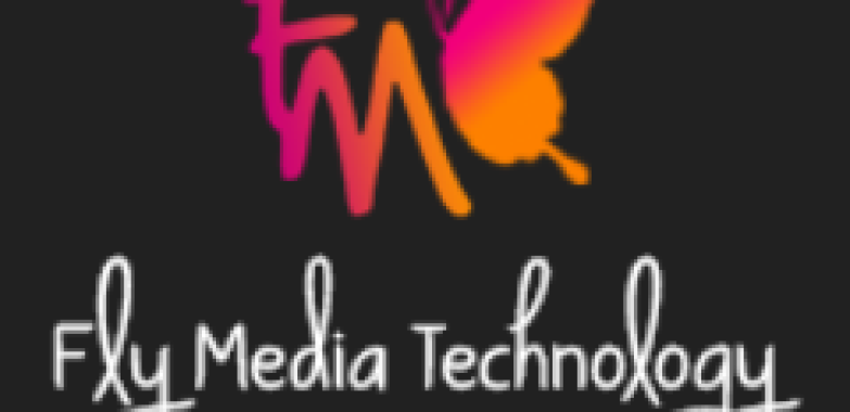Best IT Company in Ludhiana