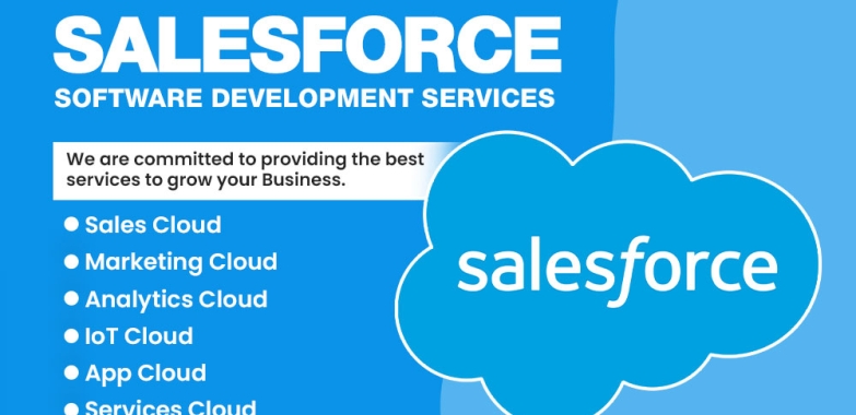 Salesforce software development services