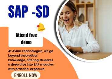 Avina Technologies –  Sap SD Online Training in Hyderabad @ 9000055217