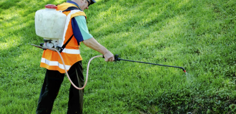 Protect Your Home and Family with Trusted Wasp Pest Control Services