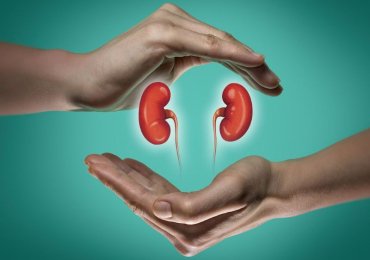 Effective Relief and Pain-Free Kidney Stone Removal in Bangalore