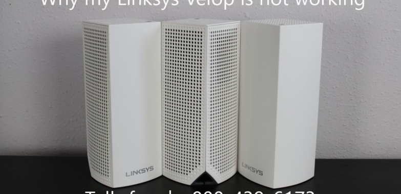 Why my Linksys Velop is not working | +1-800-439-6173 | Linksys Setup Guide